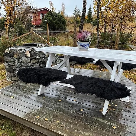 Cozy On Golsfjellet West - Auenhauglie Ferienhaus Gol